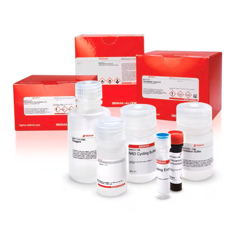 RNA Extraction & Purification